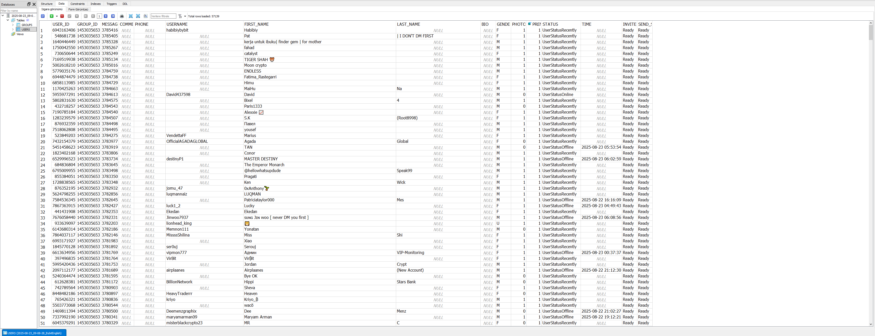 Telegram Mass DM: sample scraped audience preview with activity and premium filters
