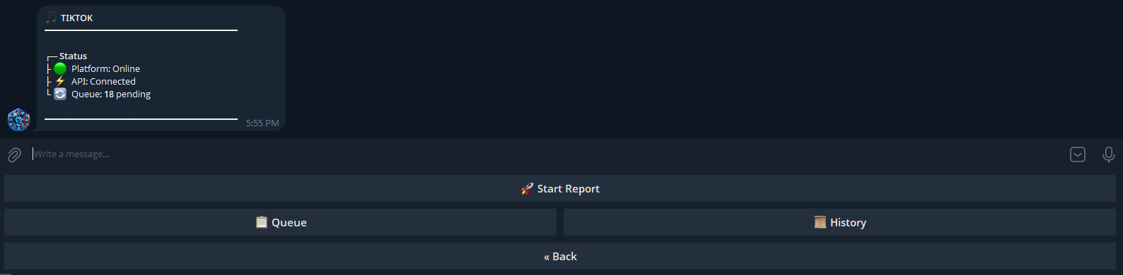 TikTok mass report bot dashboard showing mass reporting interface for TikTok accounts and videos